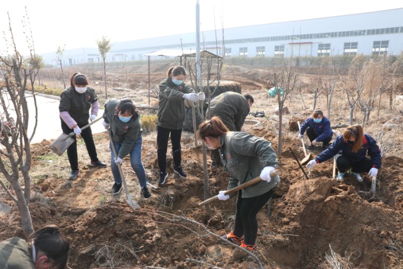 绿化博猫娱乐注册 美化人生-博猫娱乐注册科技组织义务植树运动