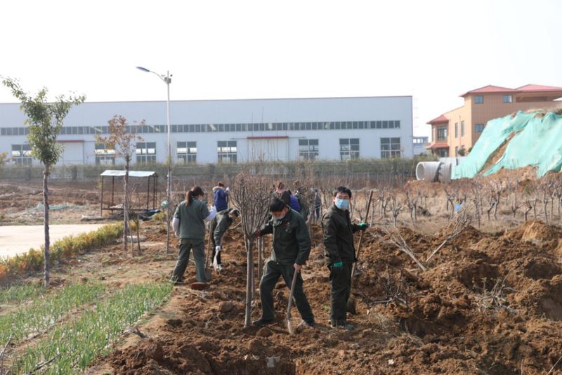 绿化博猫娱乐注册 美化人生-博猫娱乐注册科技组织义务植树运动